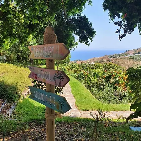 La Casa Del Burro Oda ve Kahvaltı