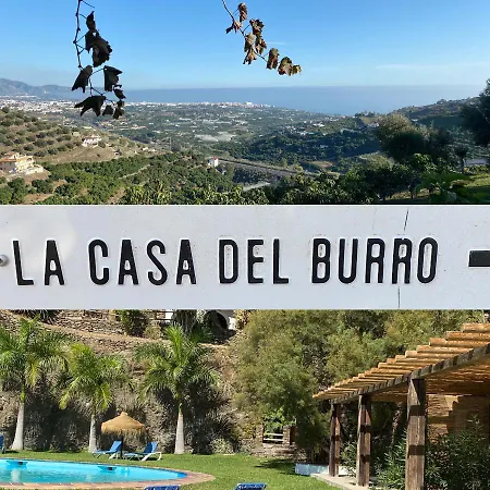 La Casa Del Burro Oda ve Kahvaltı Nerja
