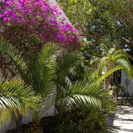La Casa Del Burro Oda ve Kahvaltı *