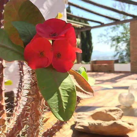 La Casa Del Burro Oda ve Kahvaltı *