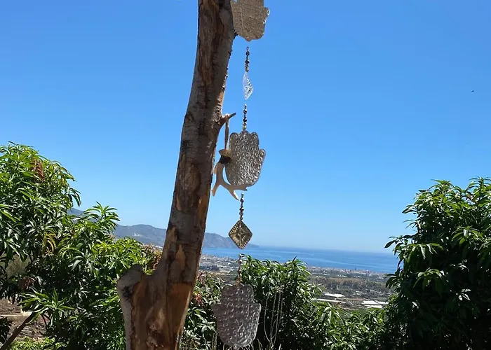 Alojamento de Acomodação e Pequeno-almoço La Casa Del Burro Nerja