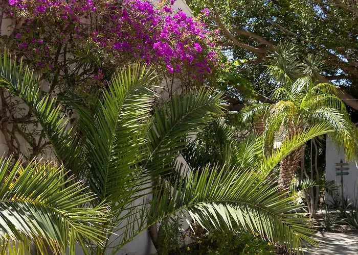 La Casa Del Burro Alojamento de Acomodação e Pequeno-almoço 3*