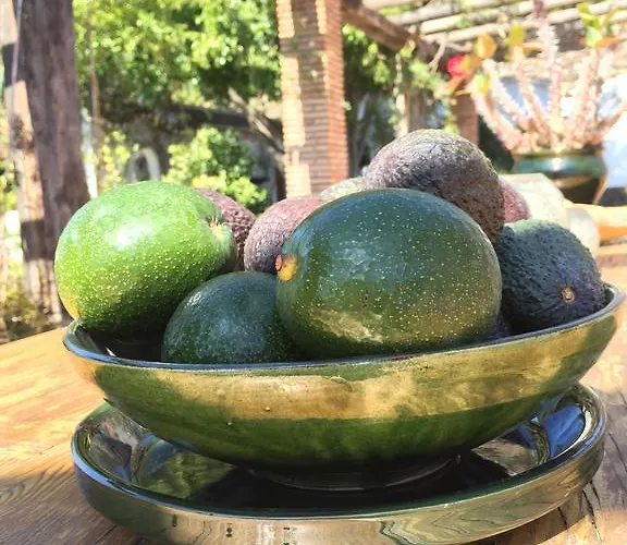 Alojamento de Acomodação e Pequeno-almoço La Casa Del Burro 3*