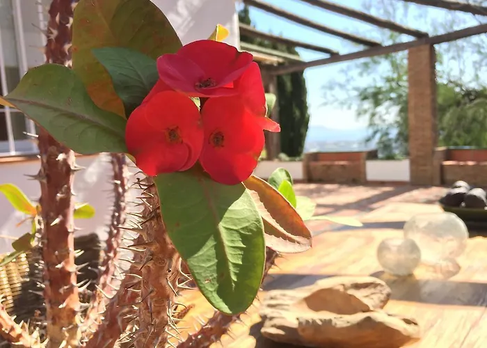 La Casa Del Burro Alojamento de Acomodação e Pequeno-almoço 3*